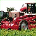 Crop conveyor belts for harvesters