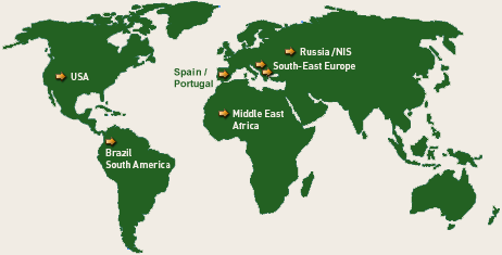 Polystal worldwide